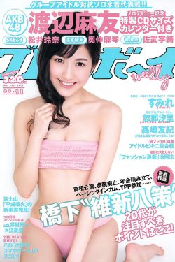 全职猎人43